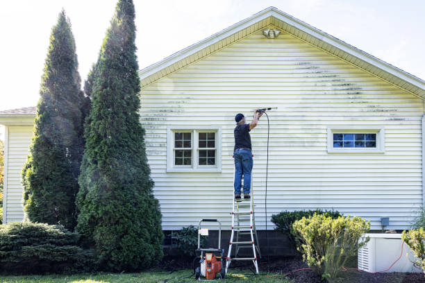 Best Building Exterior Washing  in Dunellen, NJ